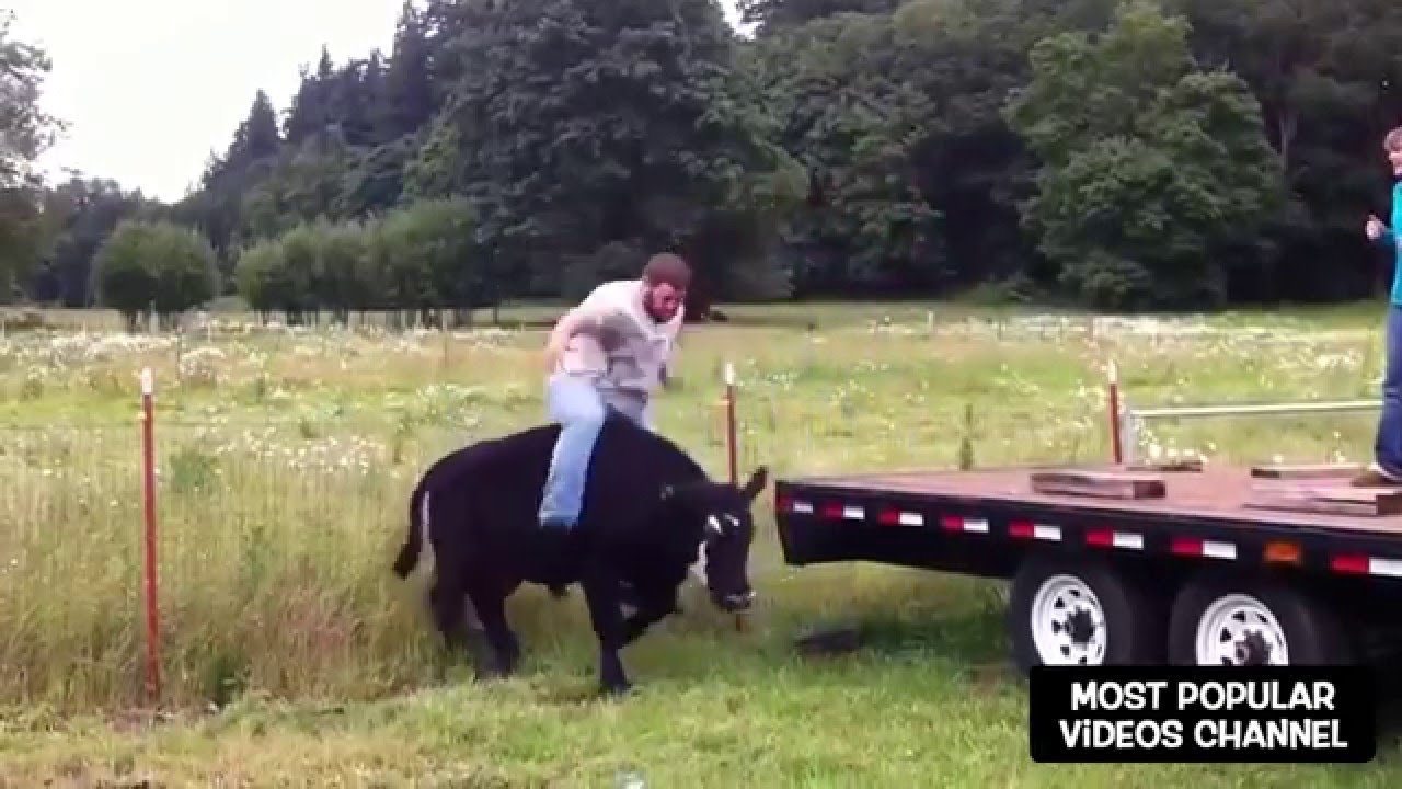 ► FAIL VIDEOS COMPILATION &ndash; January 2016 #9