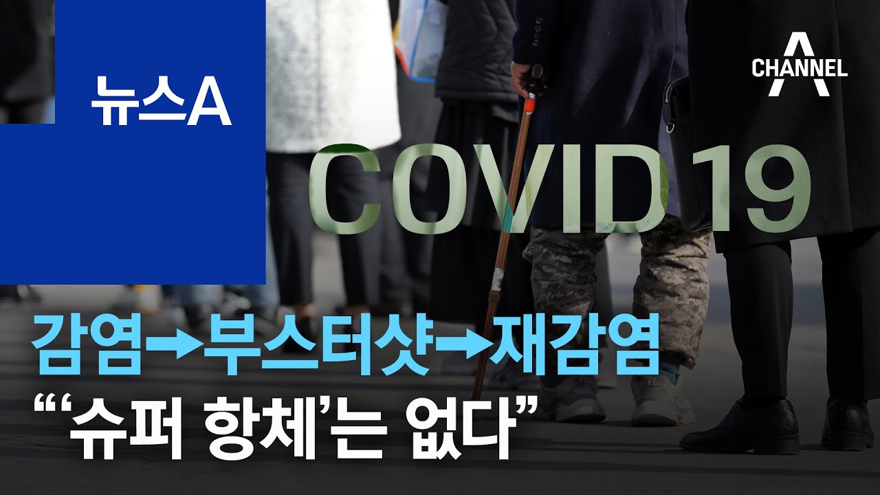 감염→3차 접종→재감염…“‘슈퍼 항체’는 없다“ | 뉴스A