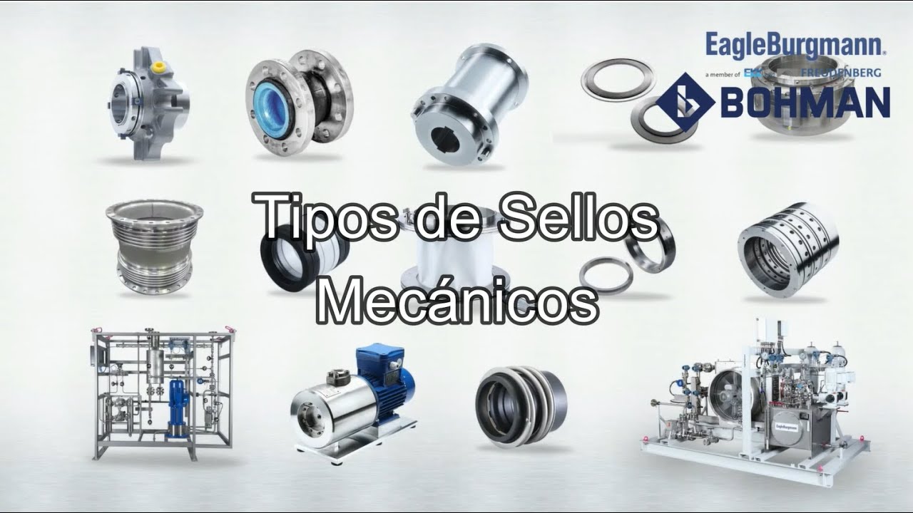 Cu&aacute;les son lo Tipos de Sellos Mec&aacute;nicos? Eagleburgmann / BOHMAN