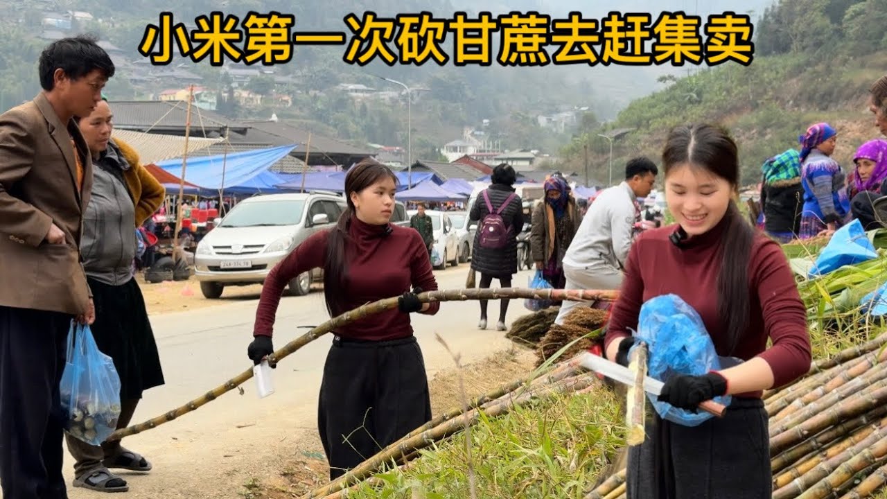小米第一次砍甘蔗去赶集卖，差点亏本，发生了什么？| 越南小米