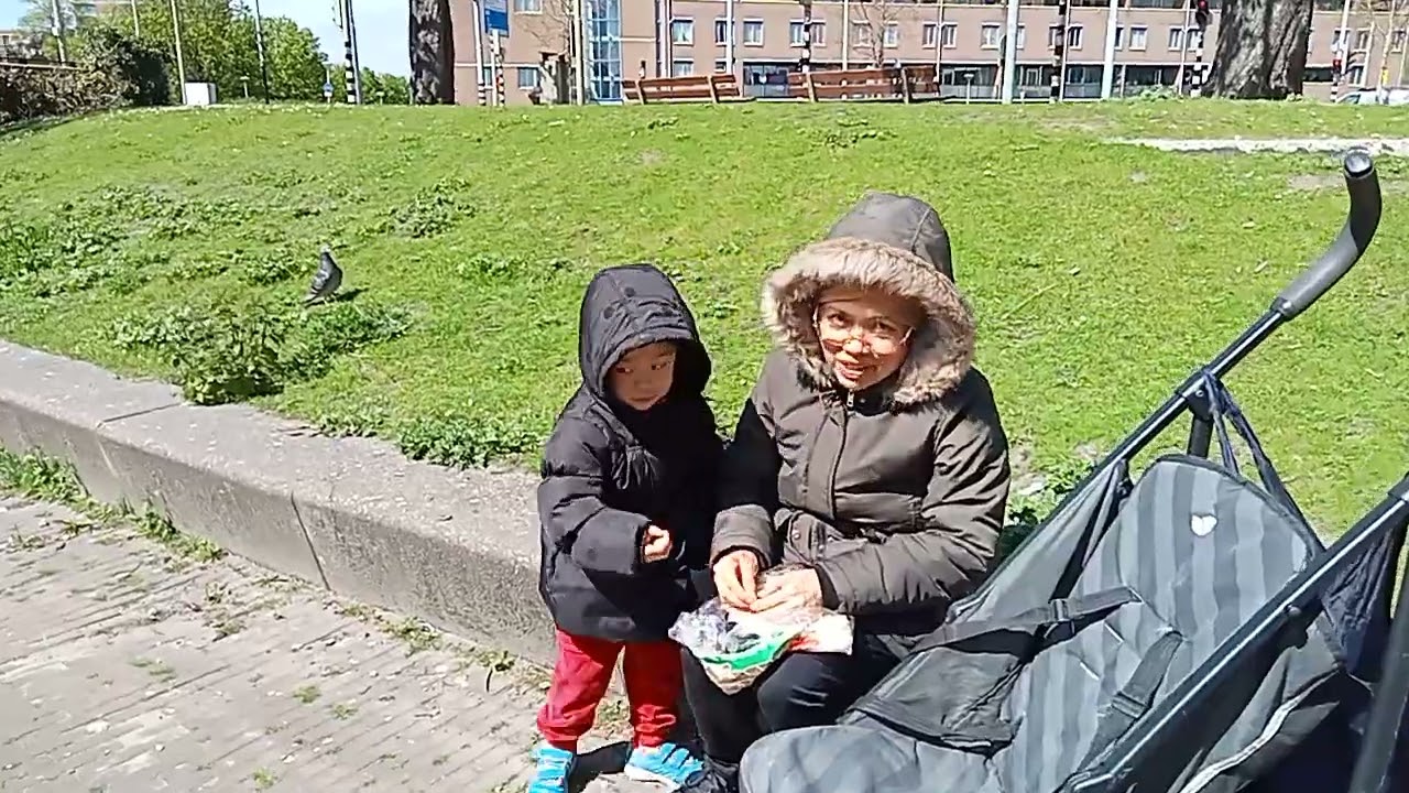 feeding the birds, nice weather
