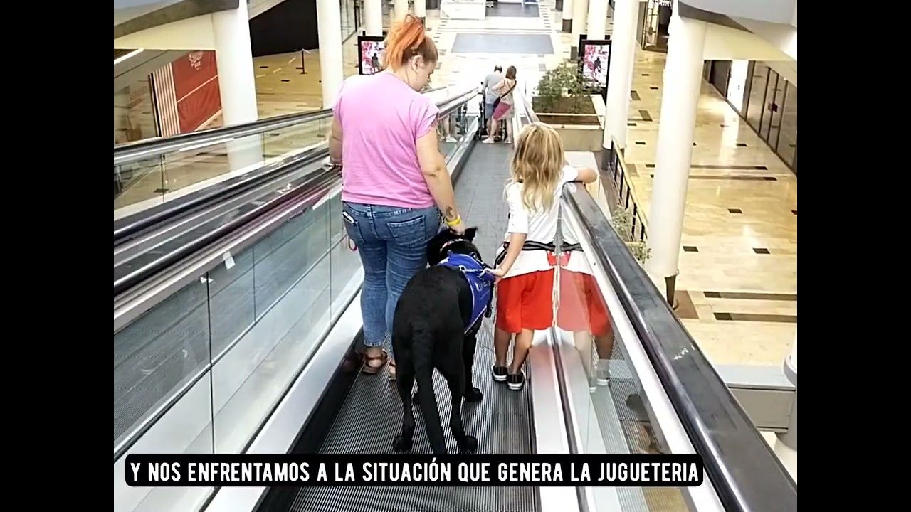 Seguimiento de un perro de servicio para niños con TEA