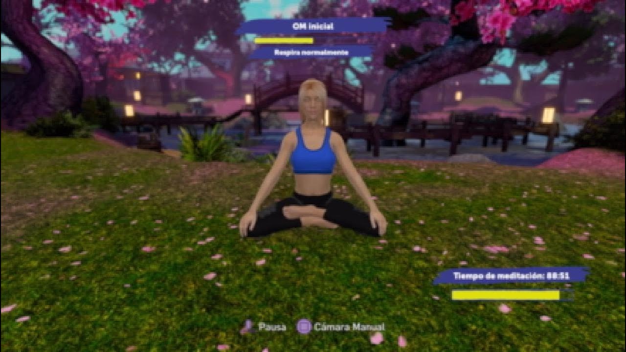Yoga master meditation 8