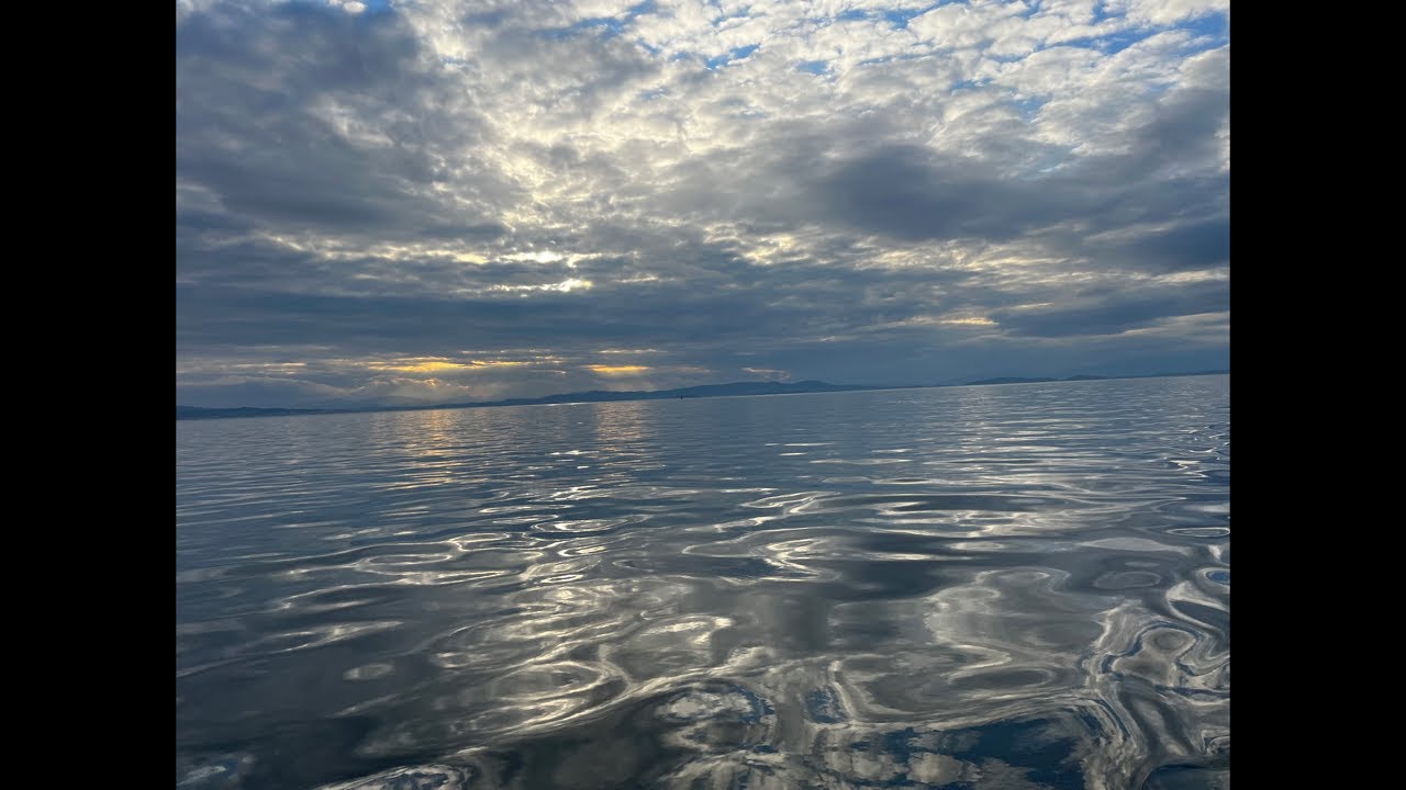Mercan Adası  kanalı canlı yayında
