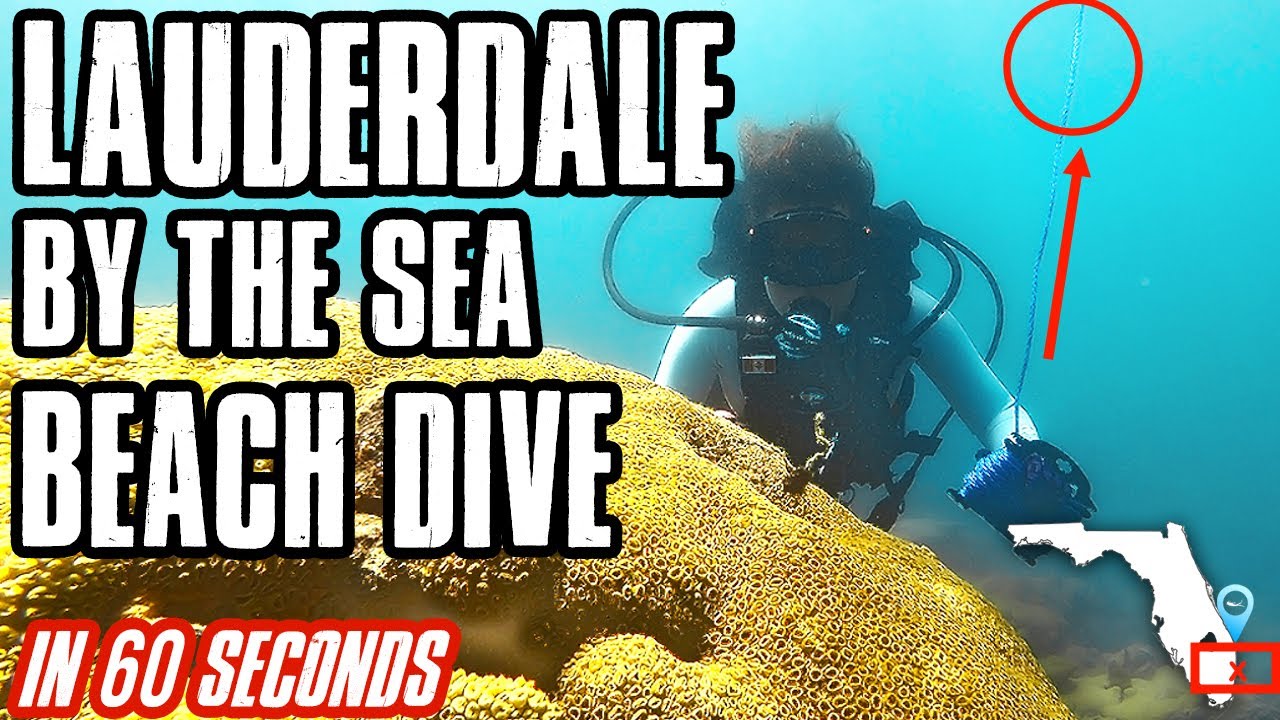 How to scuba dive Lauderdale by the Sea | Shore Diving | Everything you need to know in one minute.