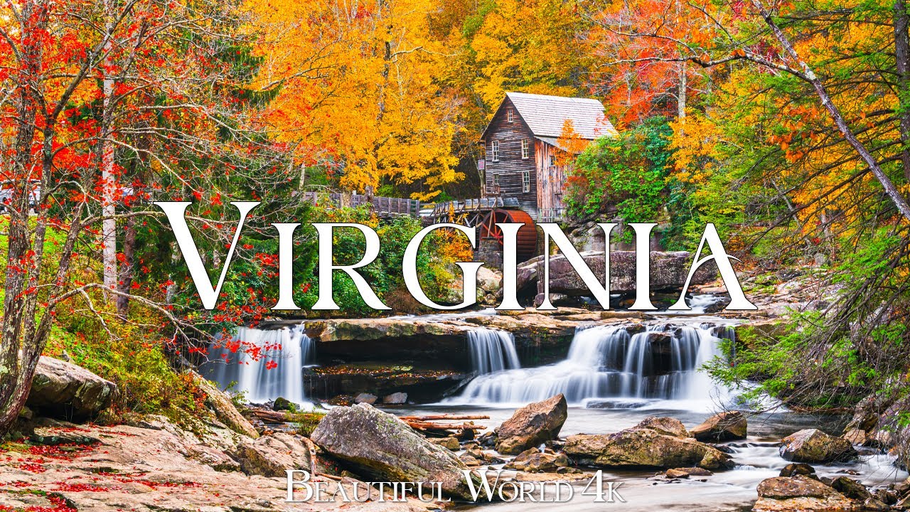 Virginia 4K - Epic Autumn Canopy Flight Over Shenandoah's Golden Forests - Travel Nature