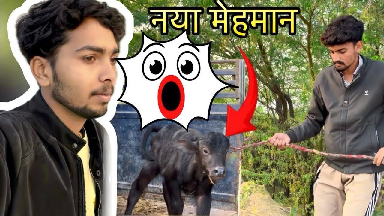 New Member 🥰 |$| बहूत छोटा है ￼🥺