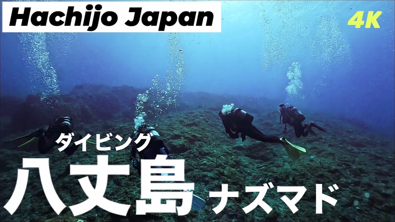 八丈島ダイビングVlog｜強烈な黒潮に挑む！八丈島・ナズマドで大冒険ダイブ 黒潮ドリフト＆極上の透明度　Hachijo Japan Diving Vlog