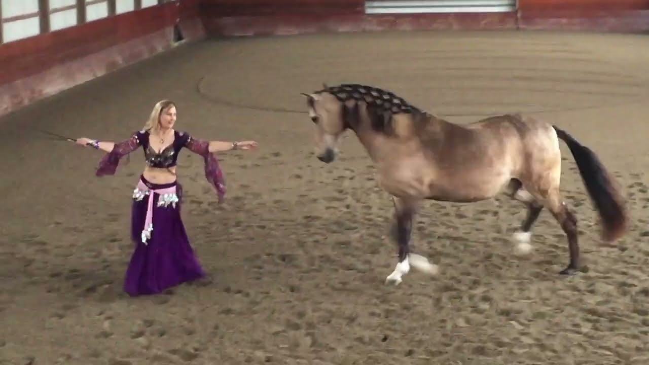 Dancing With Your Horse Series #1  -  Fear No Art - Jill McCrae & Quebec 05 Apr 2021
