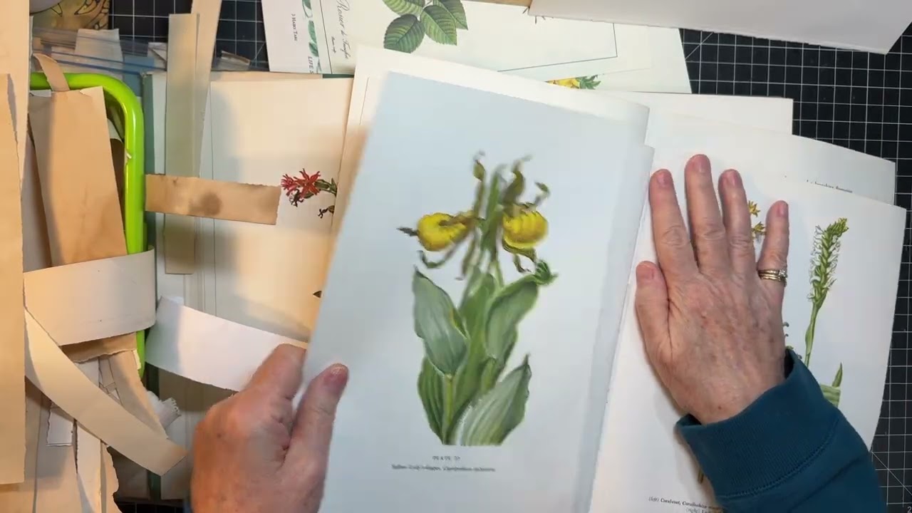 Forgotten Friends Friday!  Flower Books!