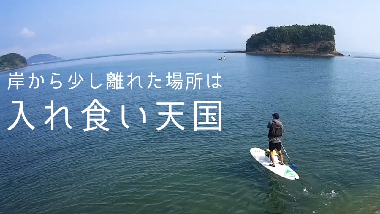【サップフィッシング】天草 野釜島で爆釣ルアー釣り！トップウォーターにチヌやスズキが激しくアタック