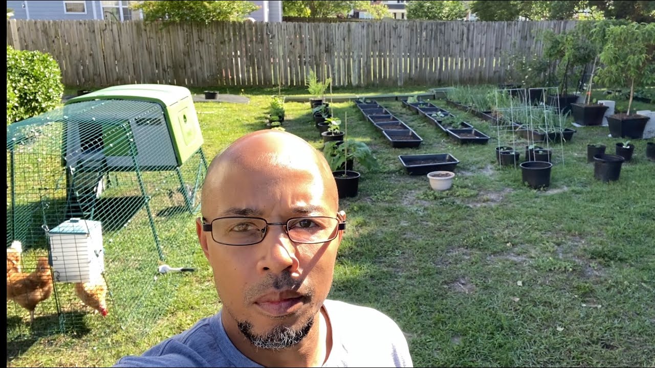 Spring 2023 Garden Update#garden #spring2023#growing#vegetables#fruittrees#homestead