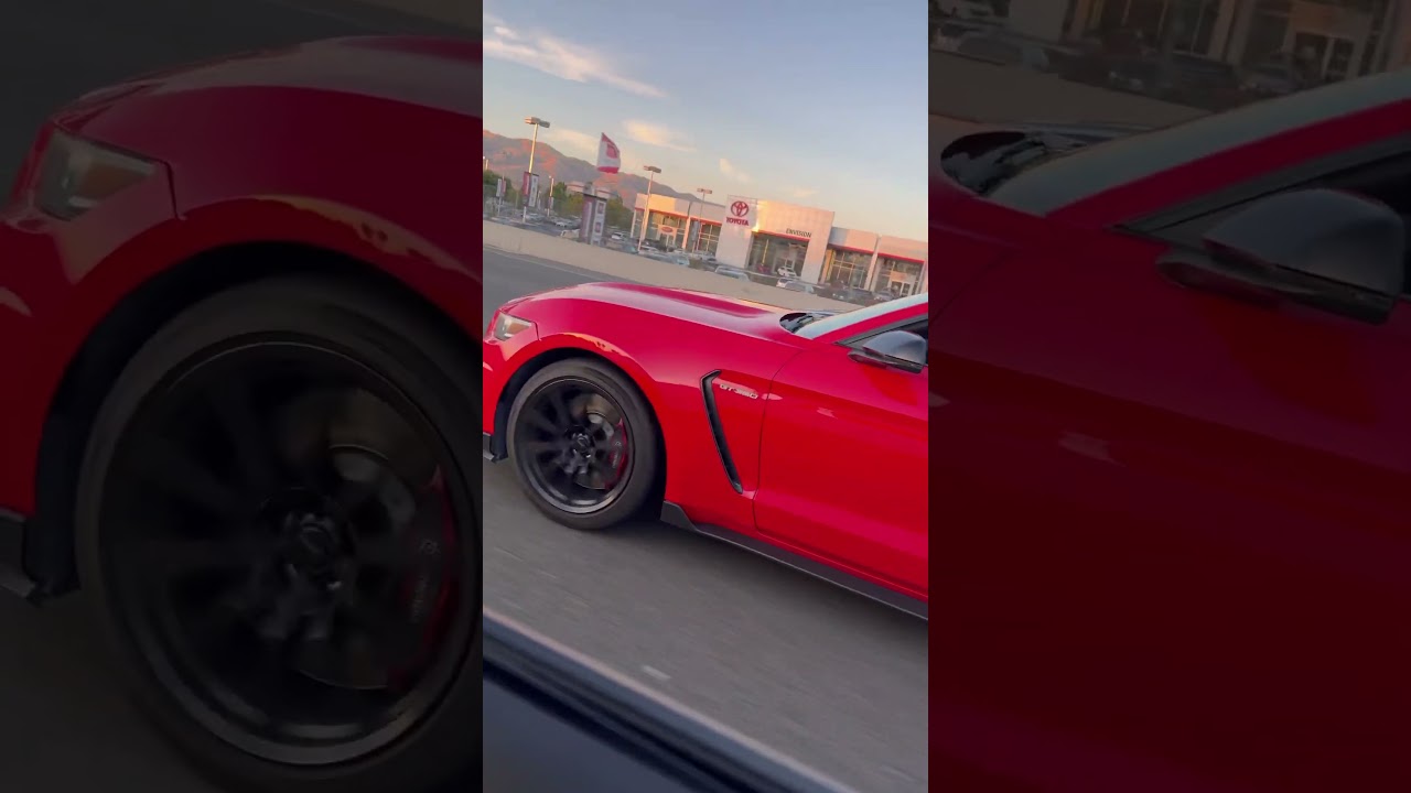 Camaro SS 1LE vs Mustang Gt350🔥🔥 #camaro#camaross#mustang #fordmustang#mustanggt350#musclecar