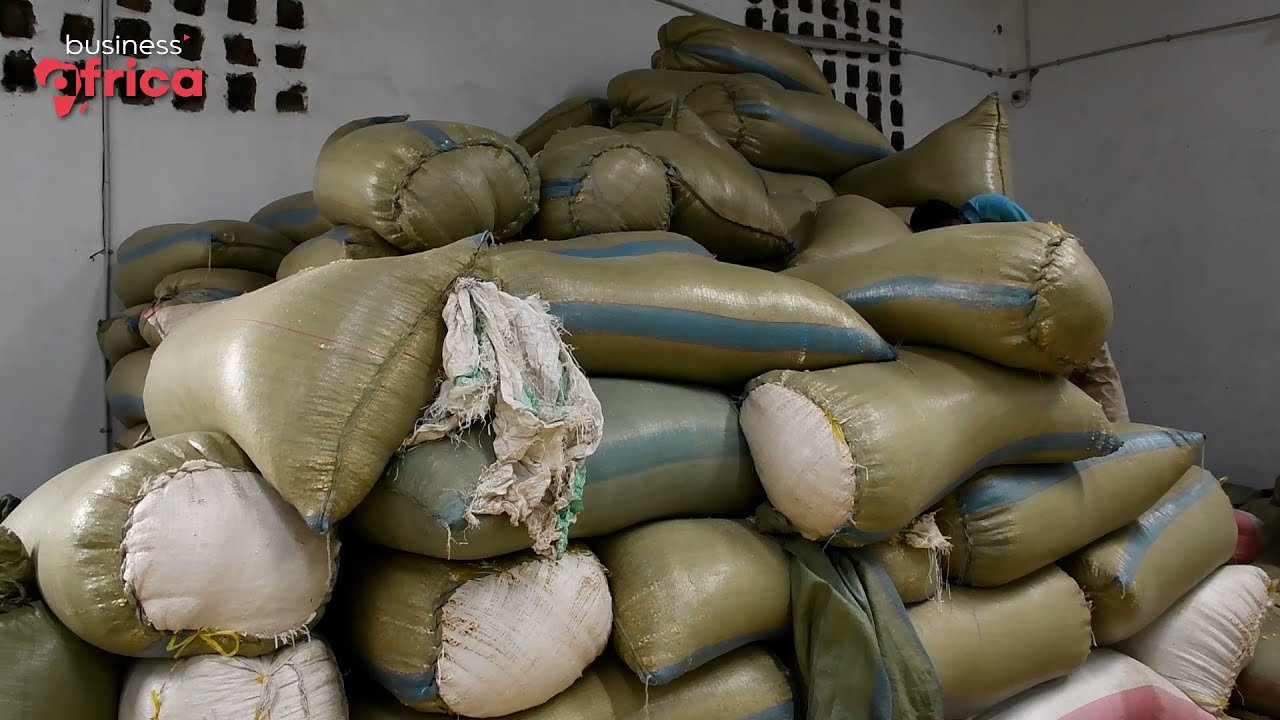 L’autosuffisance alimentaire à portée de main en RDC