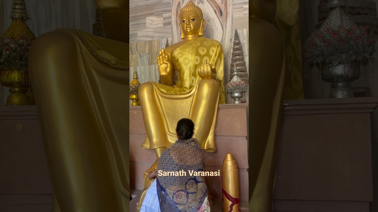 Sarnath Varanasi #sarnath #bodhgyan #budha #budh #varanasi #sarnathvaranasi #buddha #buddhism