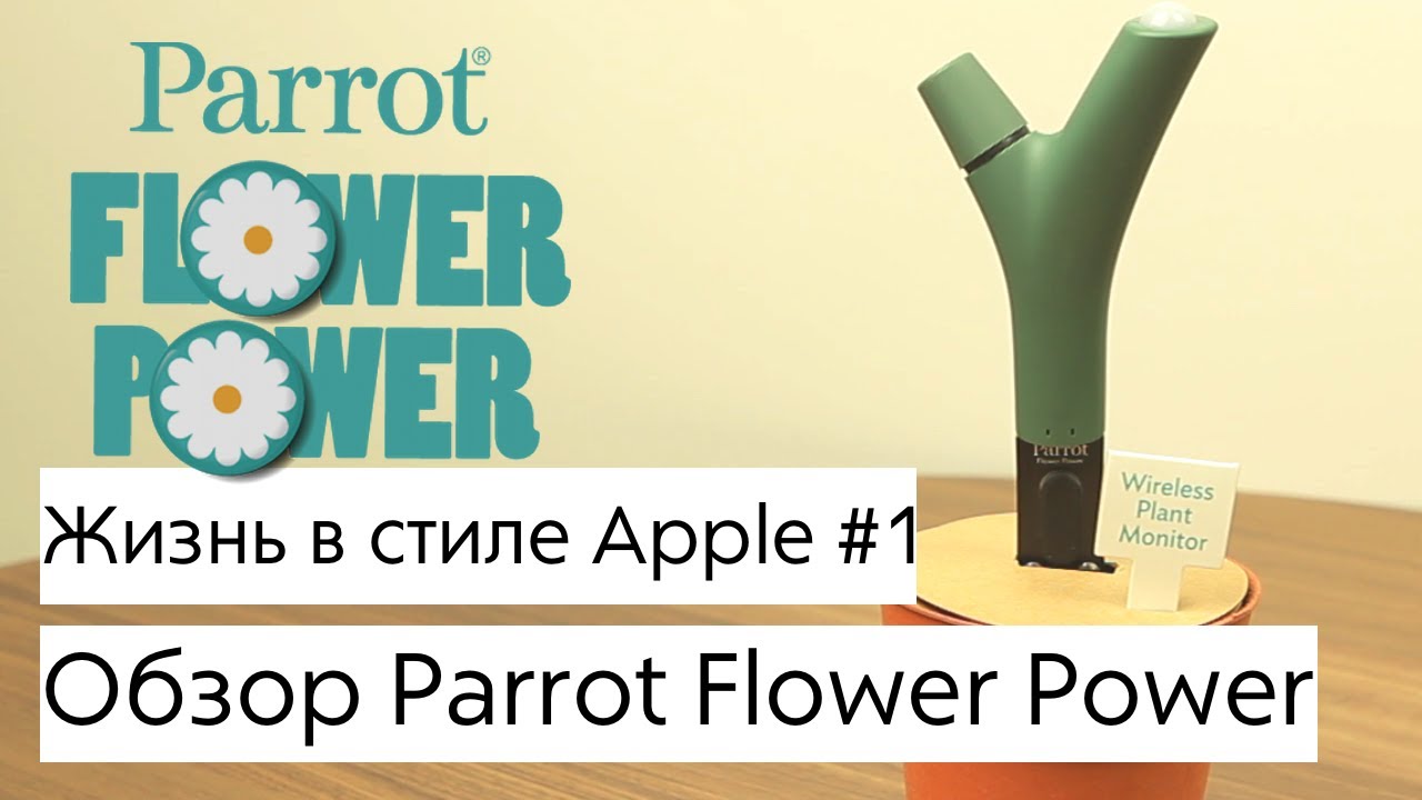 Жизнь в стиле Apple #1 - Parrot Flower Power
