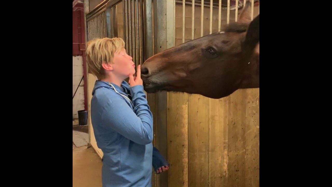 Kragerø Rideleir 2019 Uke 33❤️🐴