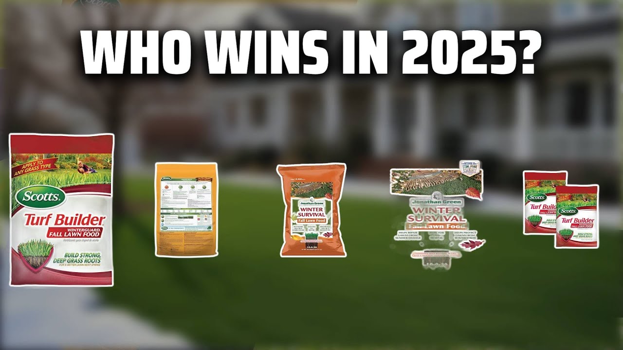 The Top 5 Best Winter Lawn Fertilizer in 2025 - Must Watch Before Buying!