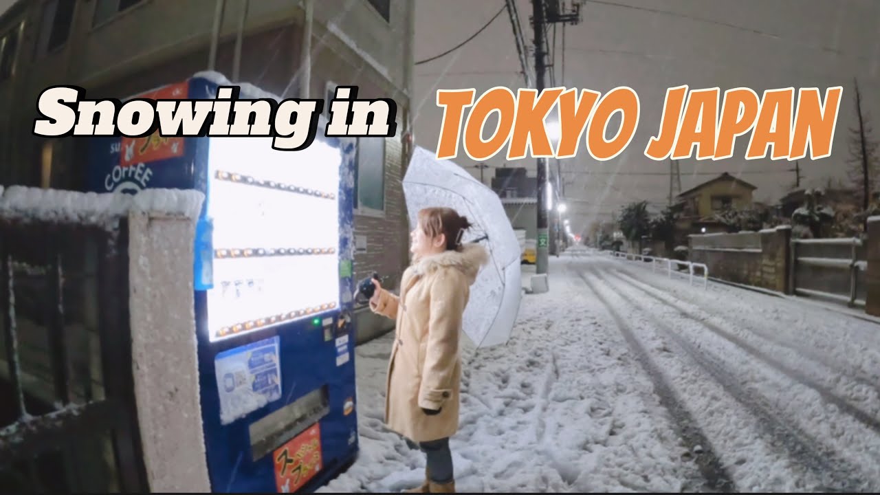 2024 snowing in tokyo japan