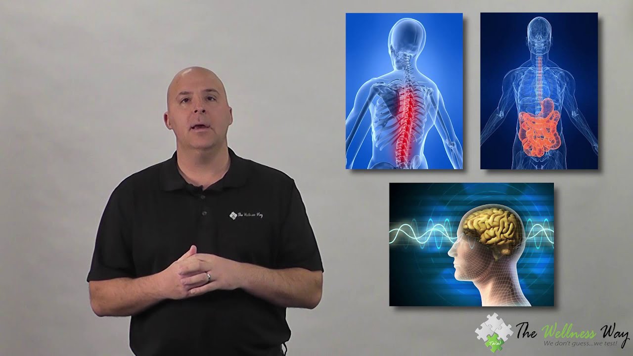 Lactate Dehydrogenase (LDH) | The Wellness Way Lab Series