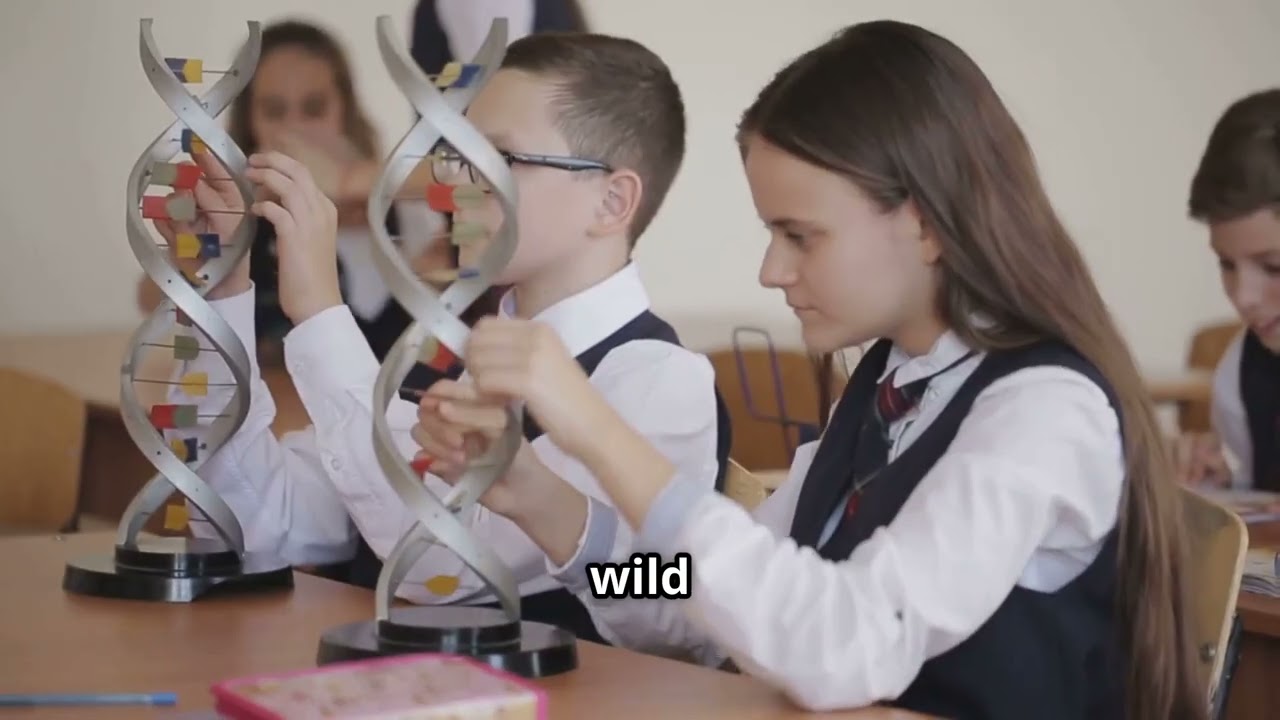 Intelligent Design:  The Evolution of Intelligent Design (ID)?