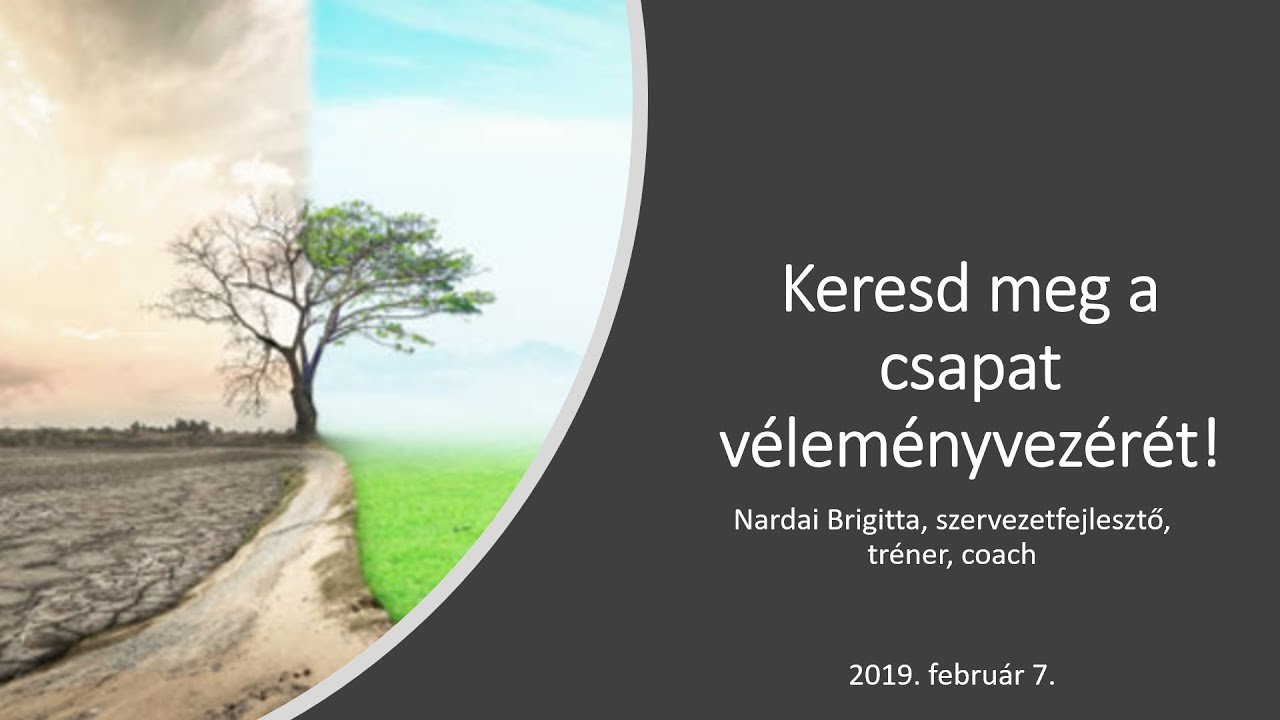 Keresd meg a csapat v&eacute;lem&eacute;nyvez&eacute;r&eacute;t! - Belső influencerek