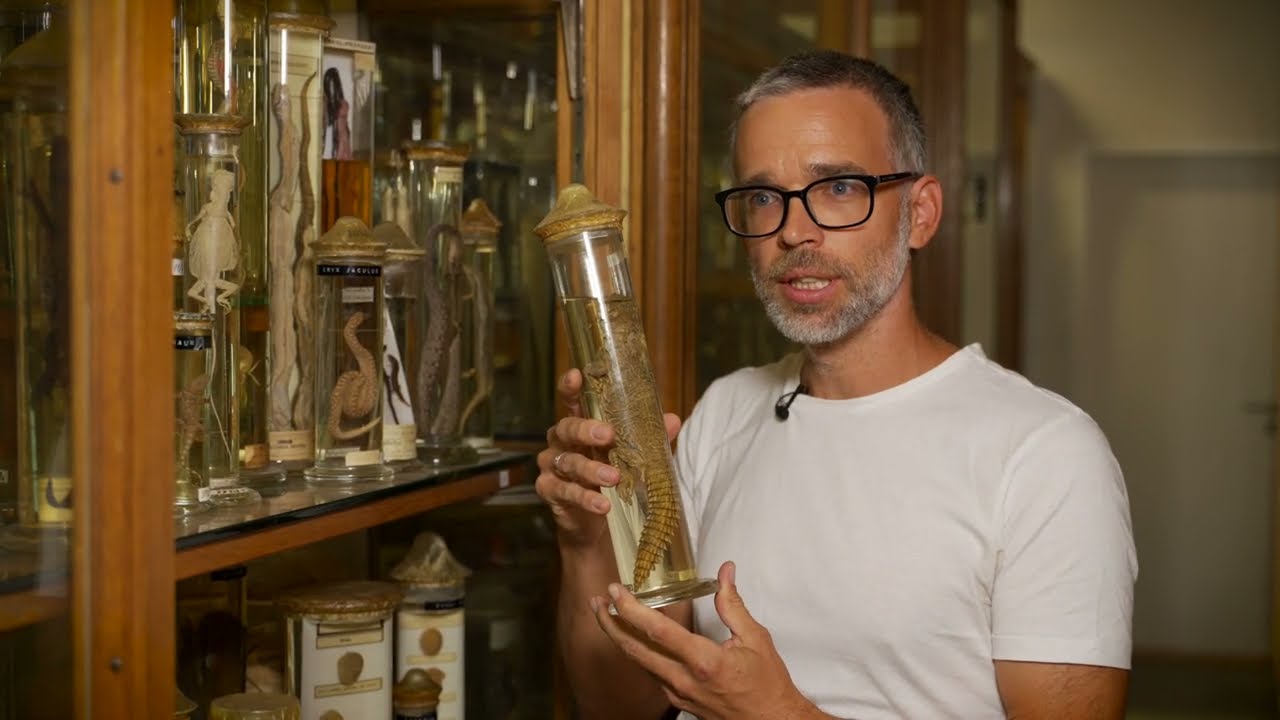 Jiří Šmíd - laureát Ceny předsedy GA ČR 2025 za Zemědělské a biologicko-environmentální vědy