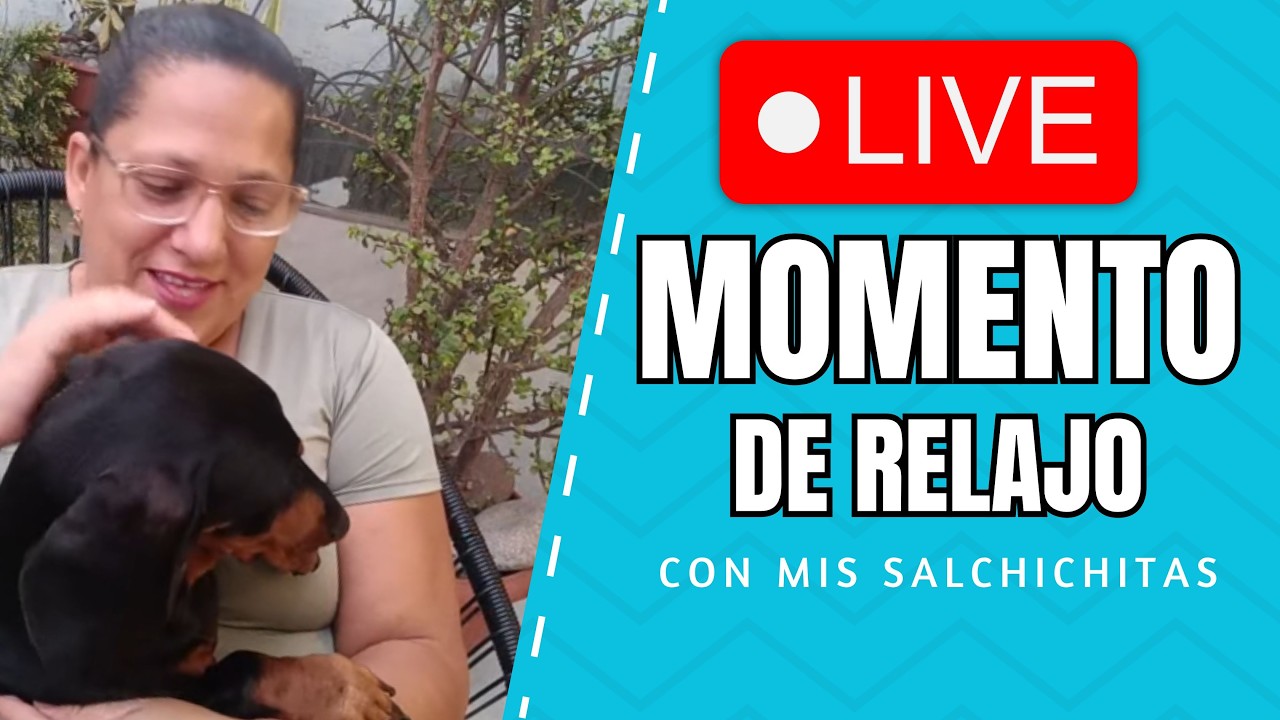 Relajándonos en vivo con mis salchichitas 🐶💛