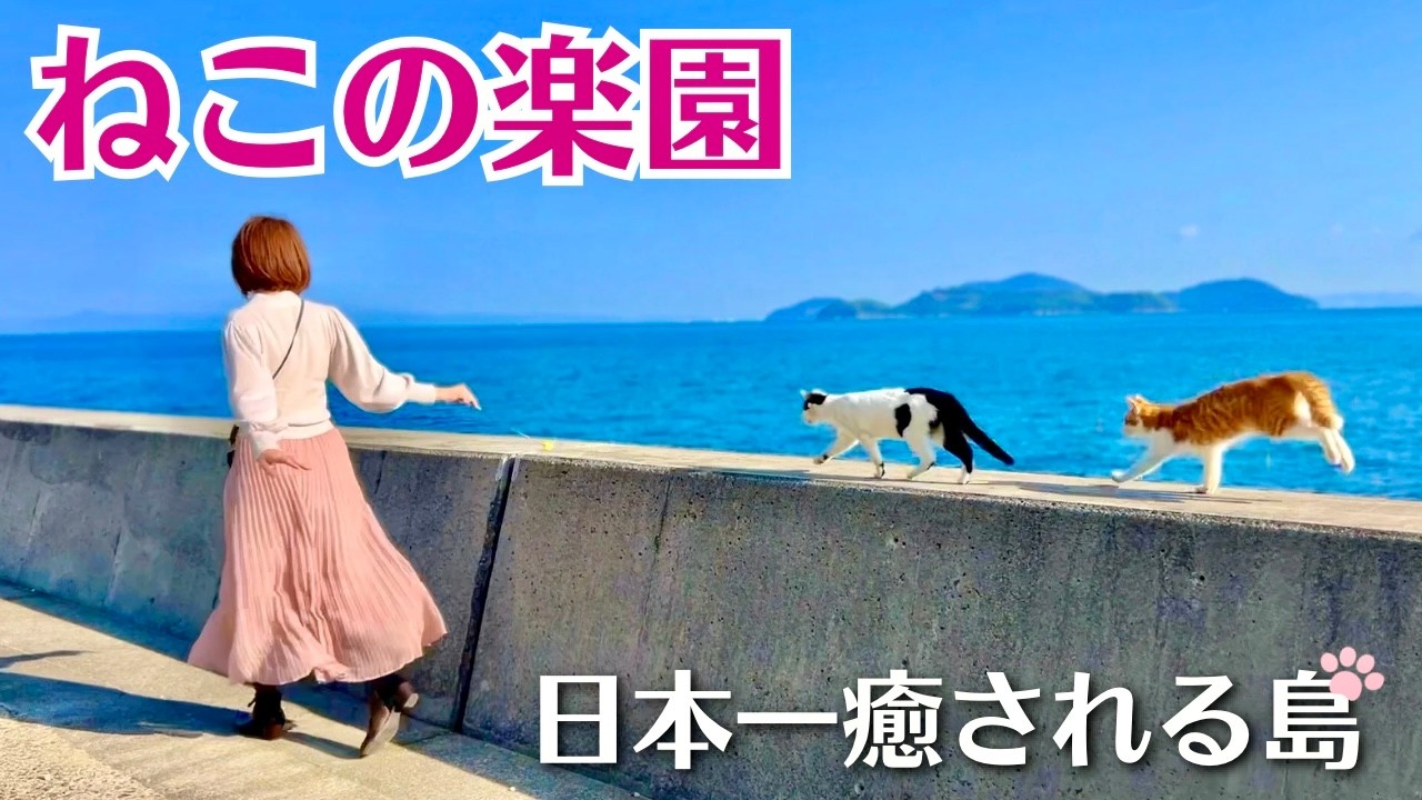 猫が飛ぶ島🐈ねこホテルに宿泊したら可愛すぎた！（佐柳島/香川旅行/Catisland/離島/穴場）