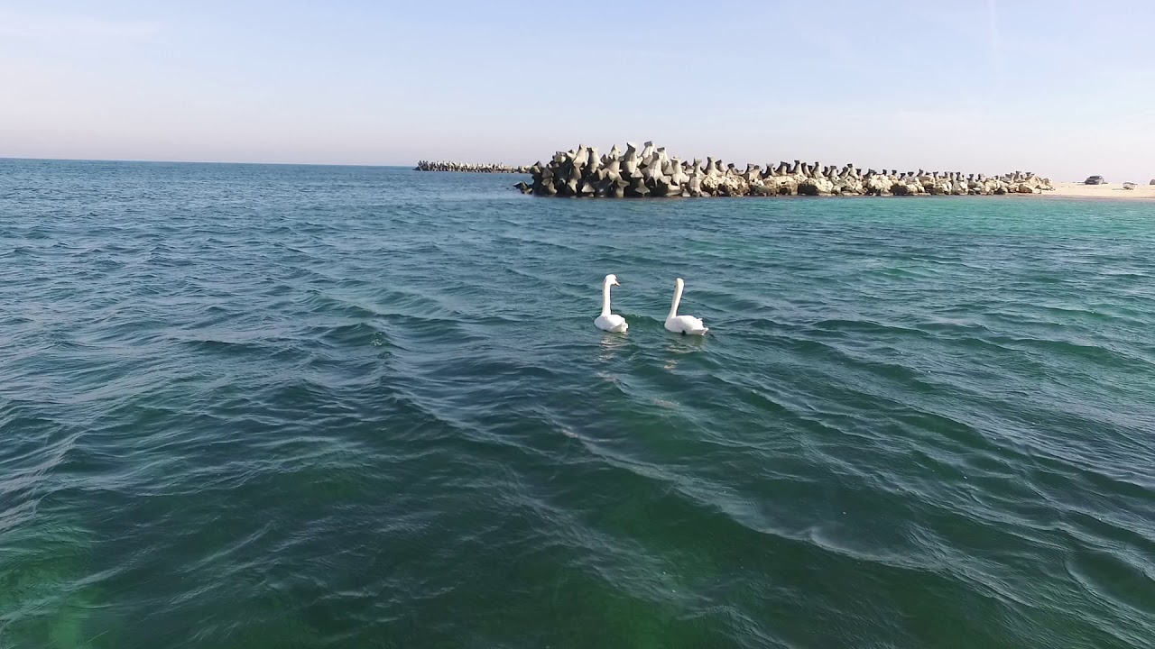 3 minute de poveste la Eforie Sud