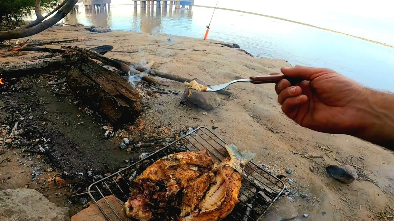 PESCA Y COCINA, Aventura extrema en primera persona, PESCA URBANA hoy