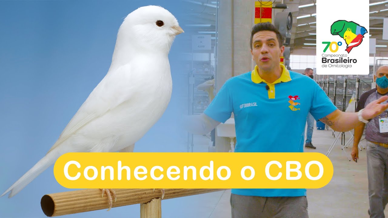Conhecendo o Campeonato Brasileiro de Ornitologia de 2022
