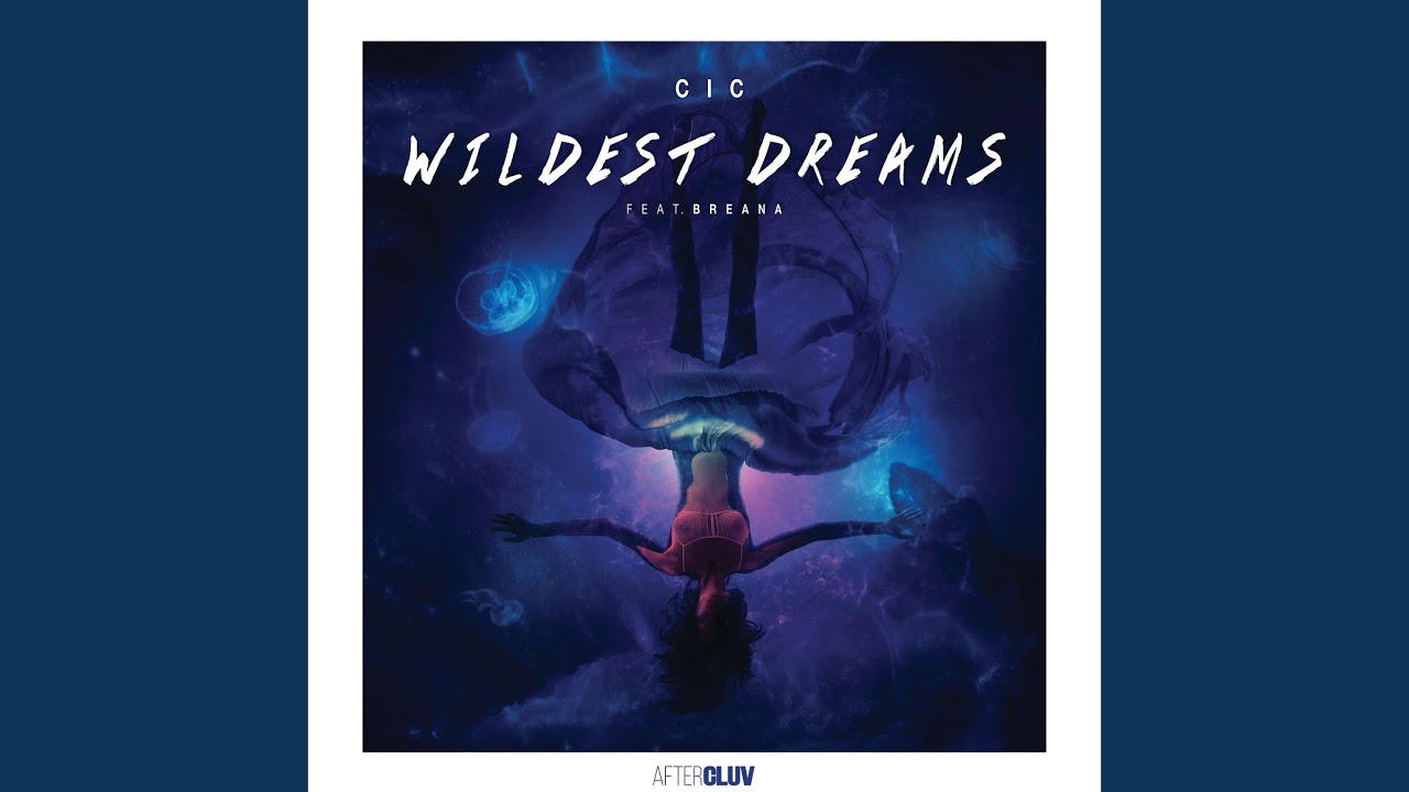 Wildest Dreams (Radio Edit)