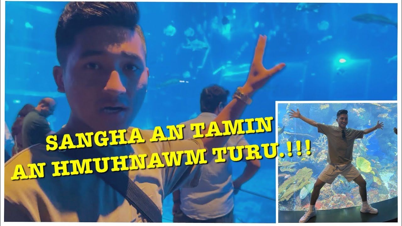 Aquarium ka hmuh tawh zawng zawngah a la pui ber!! S.E.A(South East Asia) Aquarium, Singapore.
