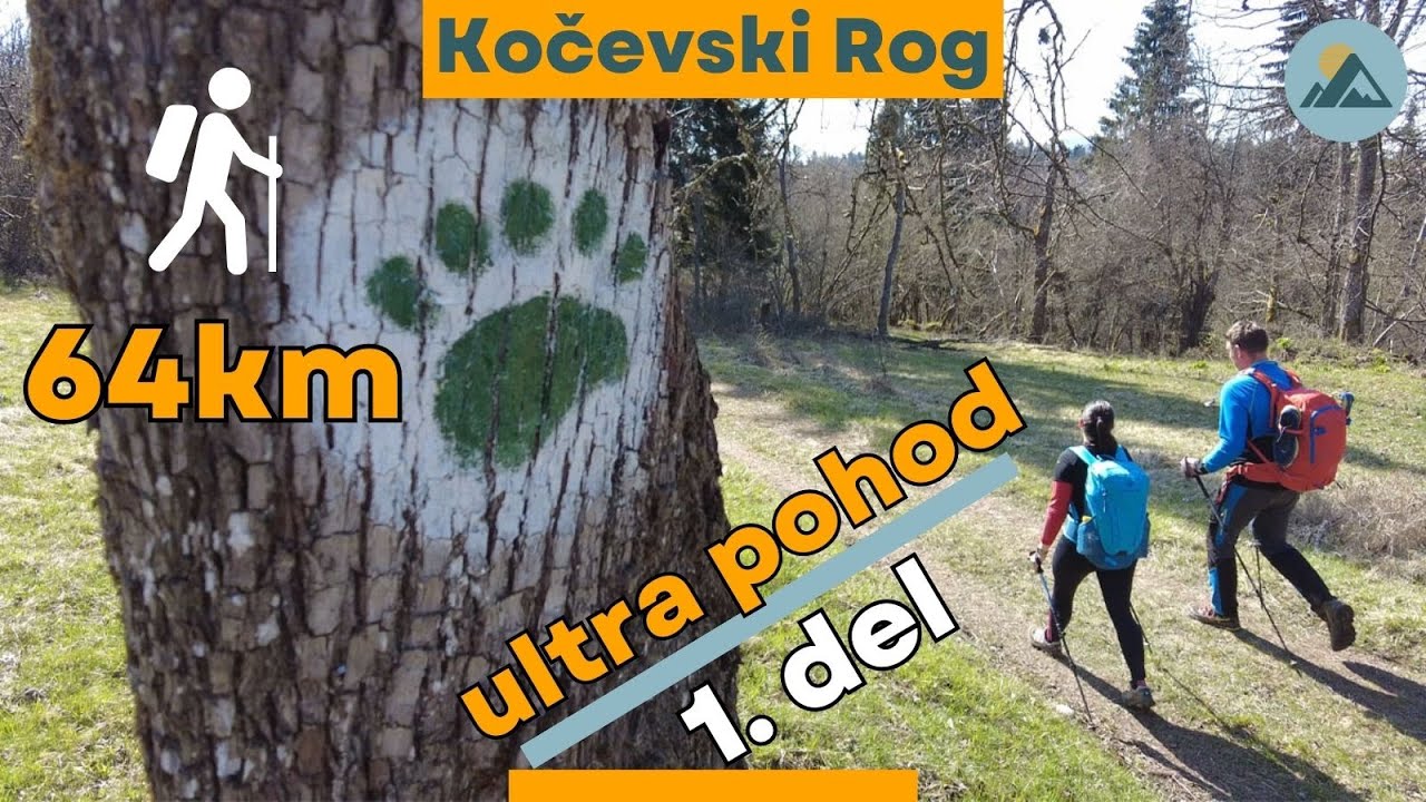 Po medvedovih stopinjah - najdaljši vztrajnostni pohod v Sloveniji