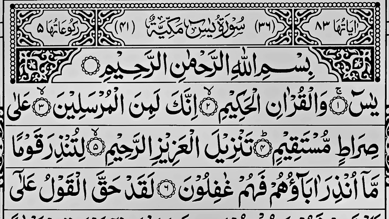 Surah Yaseen Surah Rahman || Best Qur'an Recitation Surah Mulk || Surah Yasin full Quran Tilawat 547