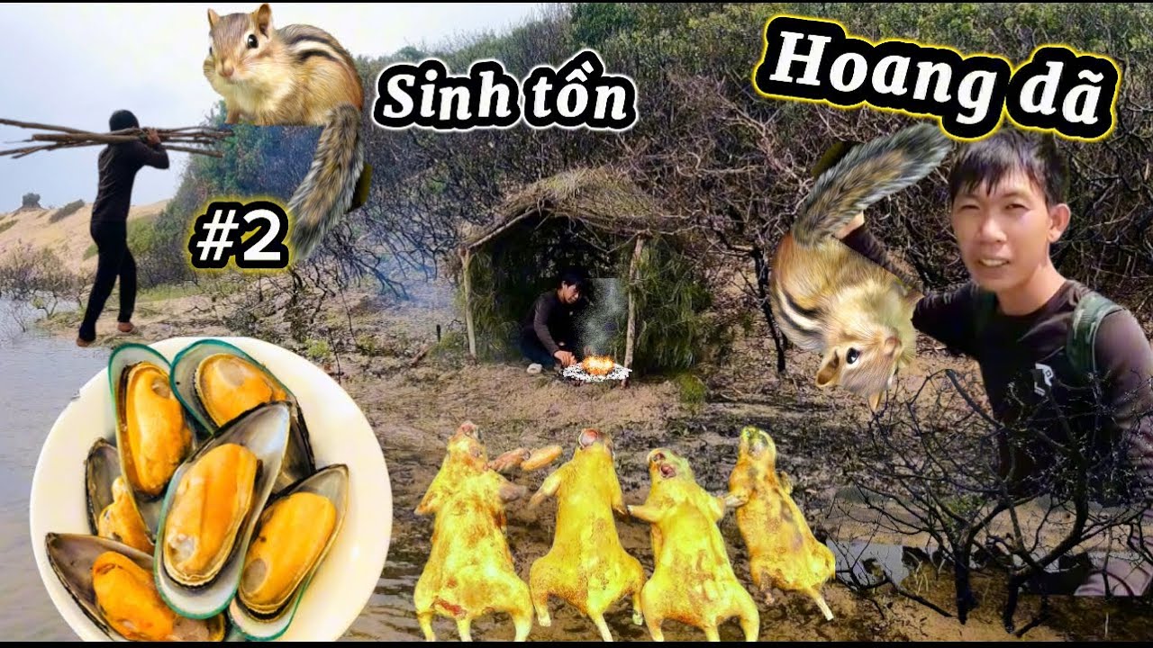 Ngày thứ 2 dựng trại sinh tồn trên sa mạc | wilderness suủvival…