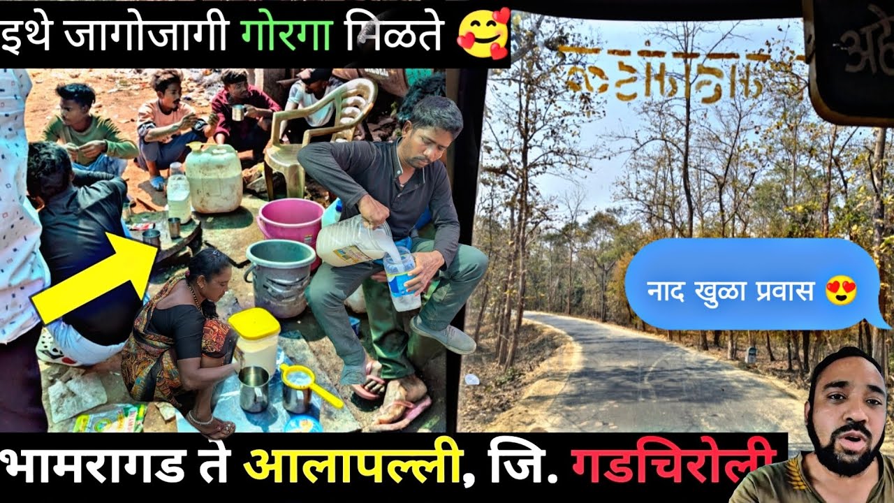 Bhamragad to Alapalli|इथे जागोजागी गोरगा मिळते 😃|भामरागड ते आलापल्ली नक्षलग्रस्त भागात बस प्रवास