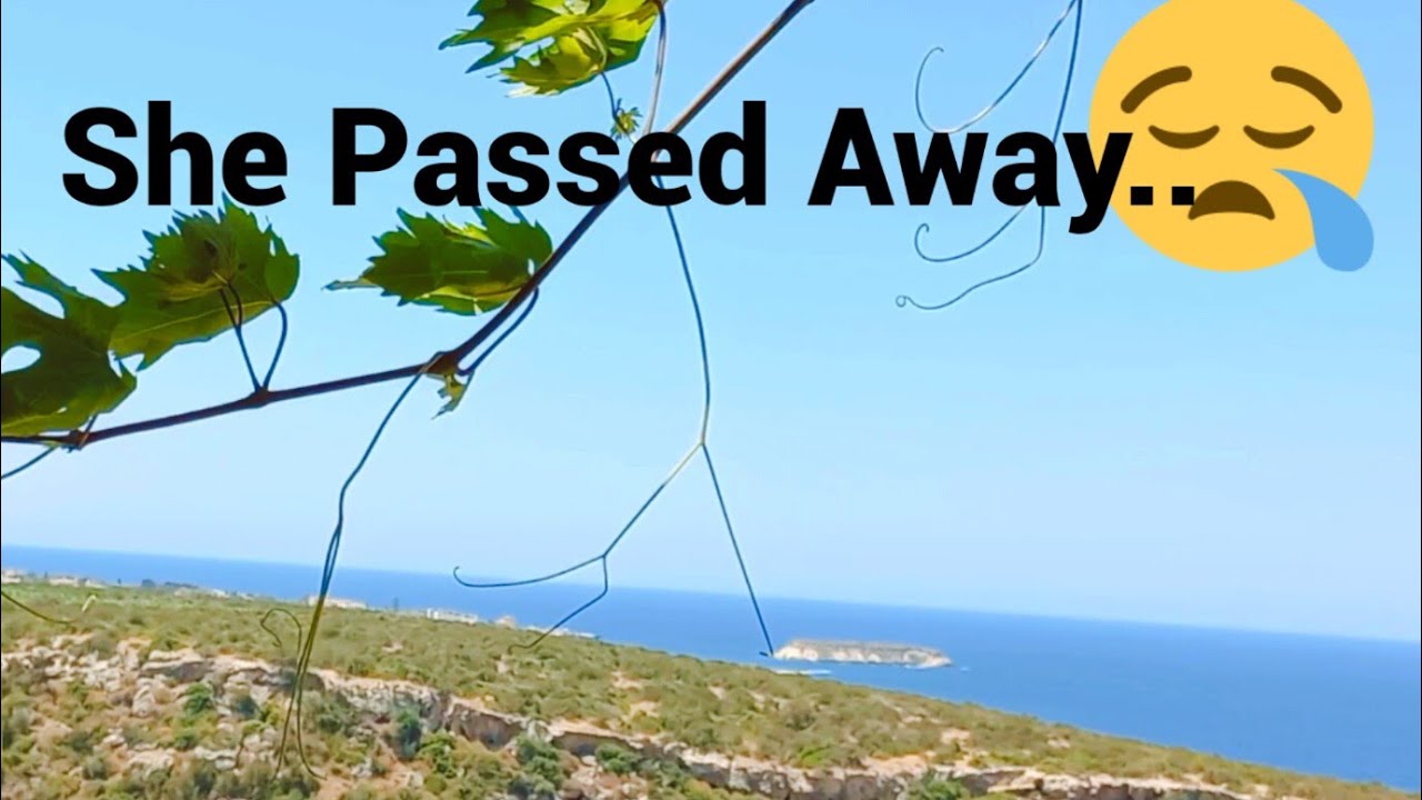 VIKLARI (THE LAST CASTLE)