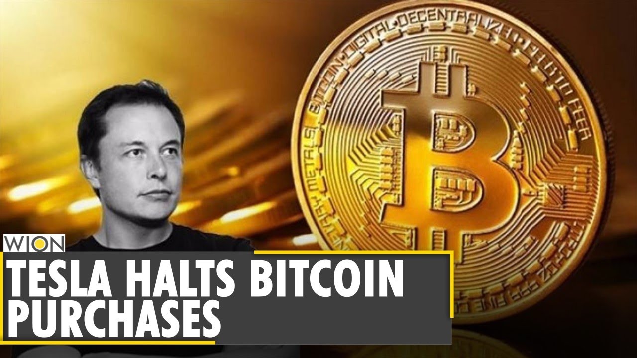 Tesla suspends vehicle purchases using Bitcoin | Business and Economy | Latest English News