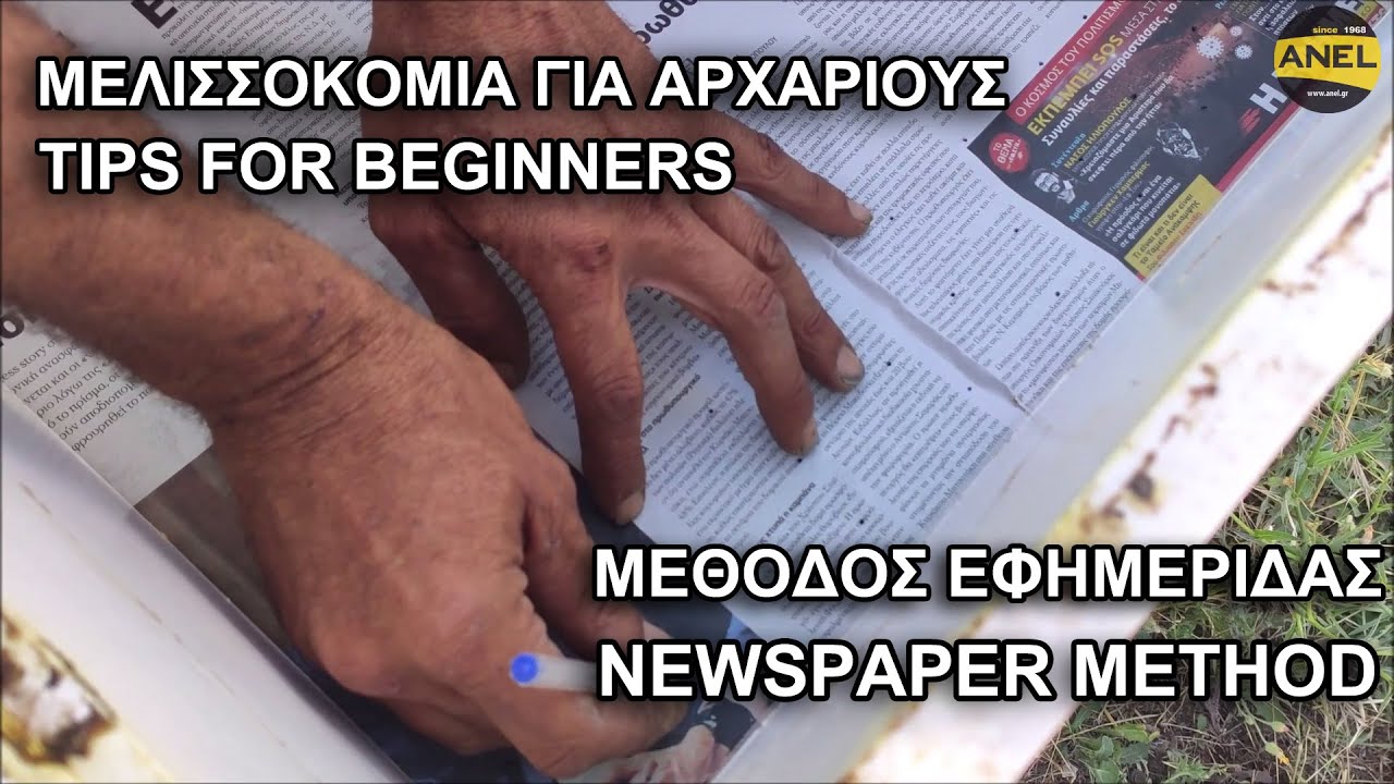 Πως συνενώνουμε δύο μελίσσια με τη Μέθοδο της Eφημερίδας | Μελισσοκομικοί Χειρισμοί
