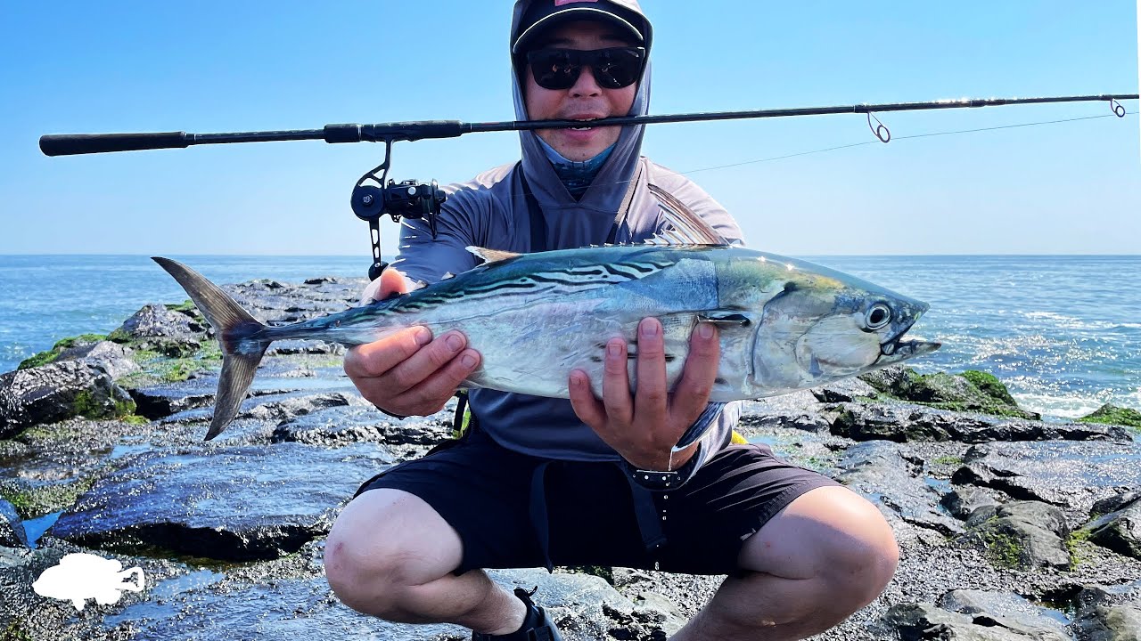 Albies are in Town! | False Albacore & Spanish Mackerel | Jetty Fishing NJ