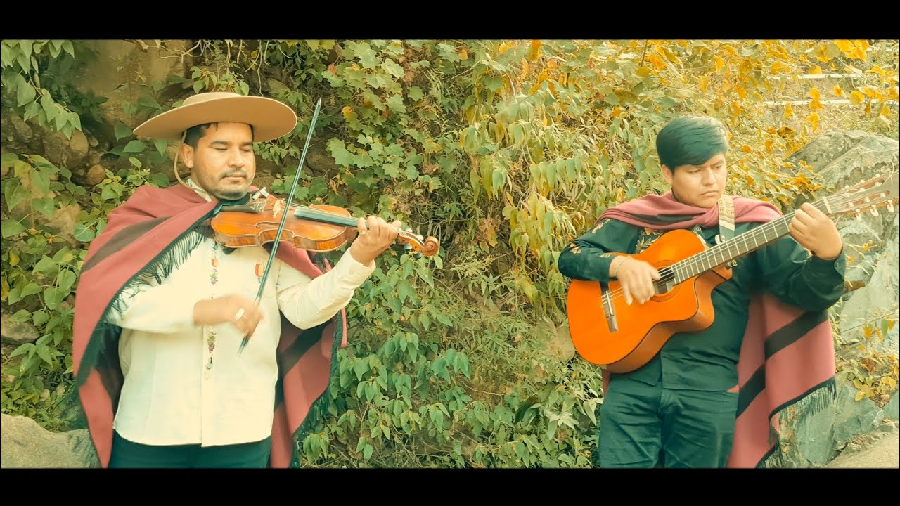 cueca instrumental