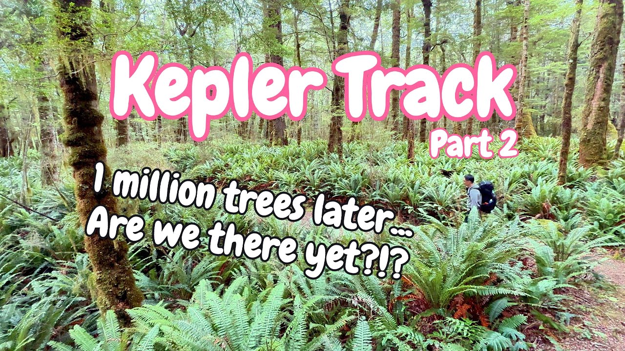 Lost in the Forest (Almost!) - New Zealand Kepler Track Finale + Tips