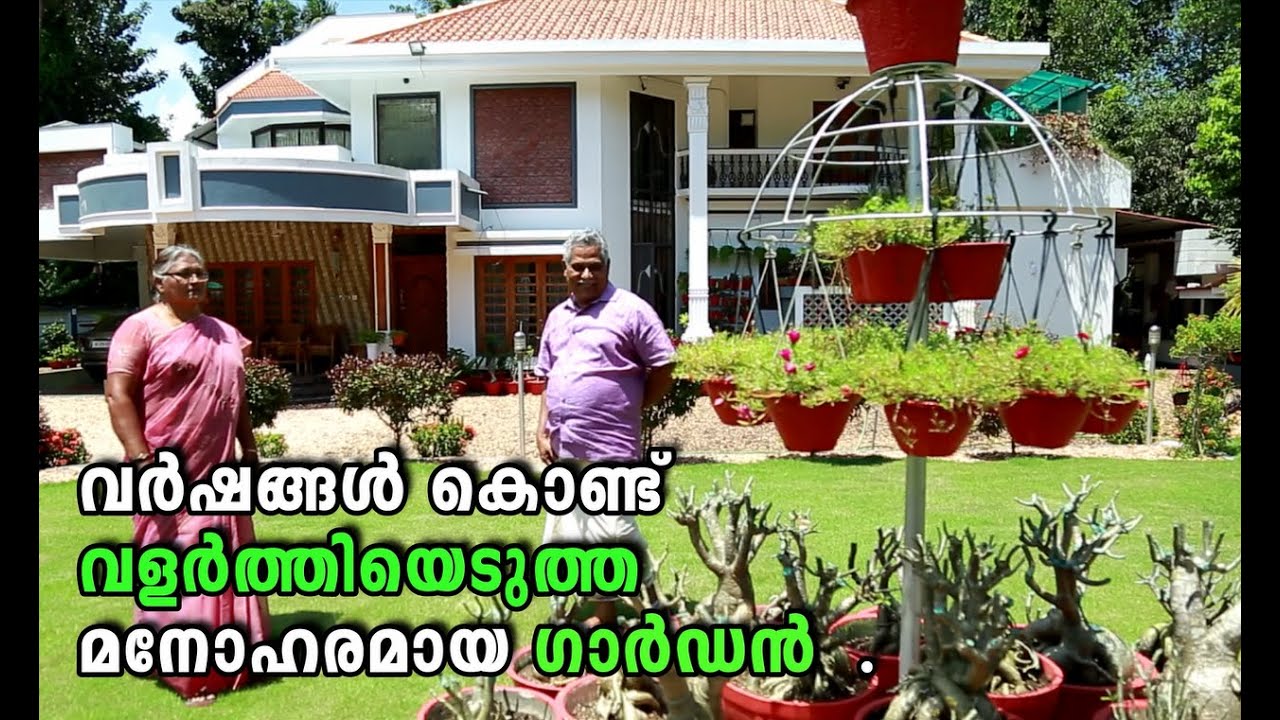 വർഷങ്ങൾ  കൊണ്ട് വളർത്തിയെടുത്ത  സ്റ്റാഗ് ഹോൺ ഫേൺ ,അഡീനിയവും എല്ലാം നിറഞ്ഞ  മനോഹരമായ ഗാർഡൻ  .
