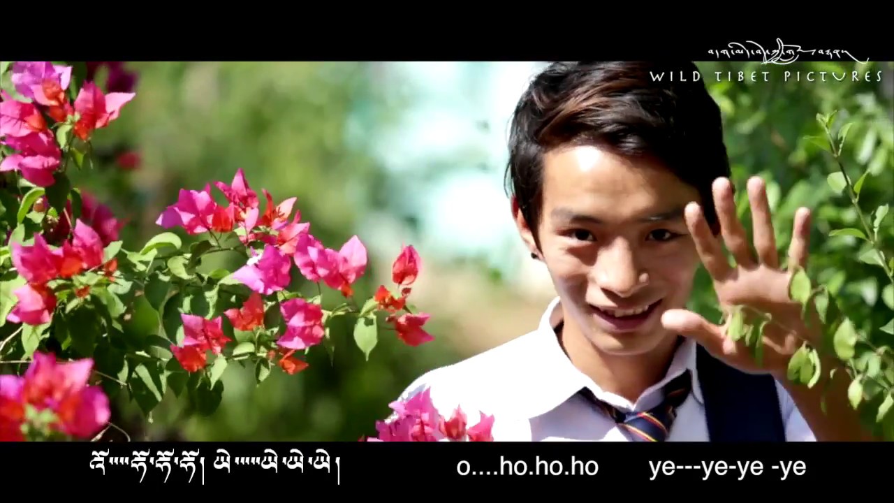 new tibetan love song 