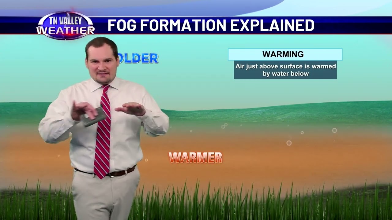 Weather Classroom - Fog