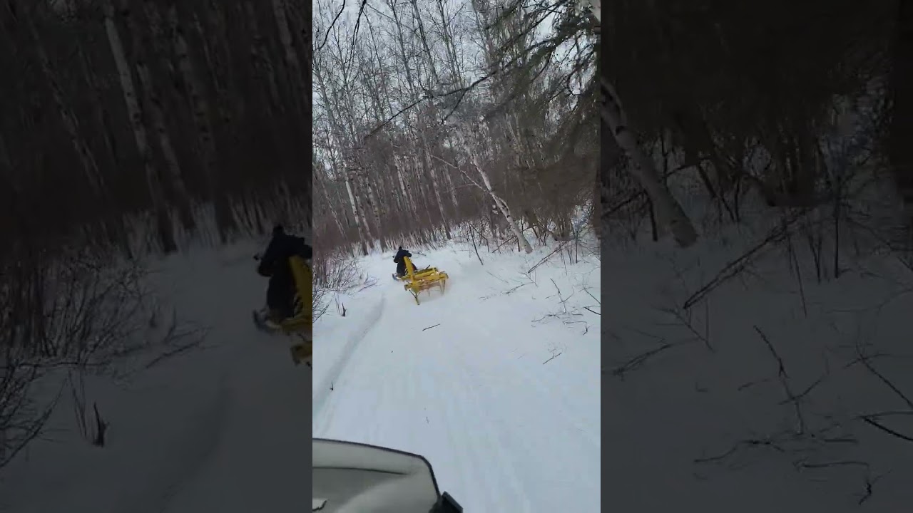 Bush trail trimmer slasher