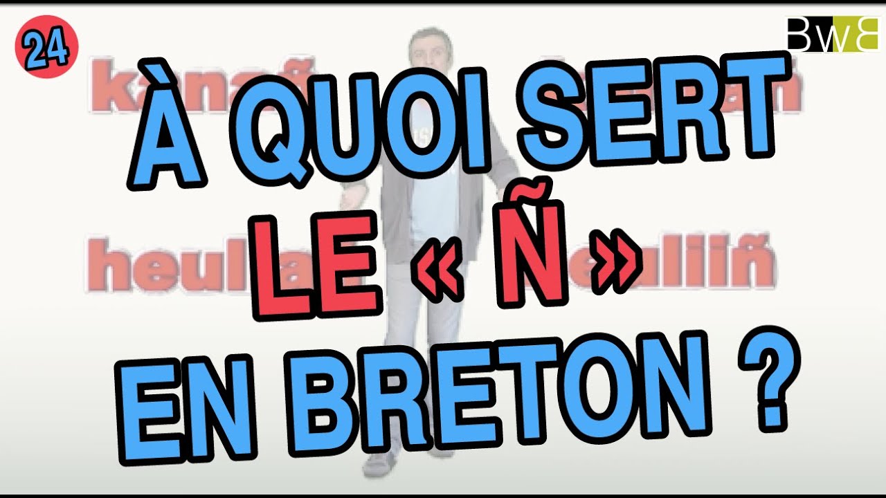 À quoi sert le Ñ en breton ? - Brezhoneg Bemdez n°24