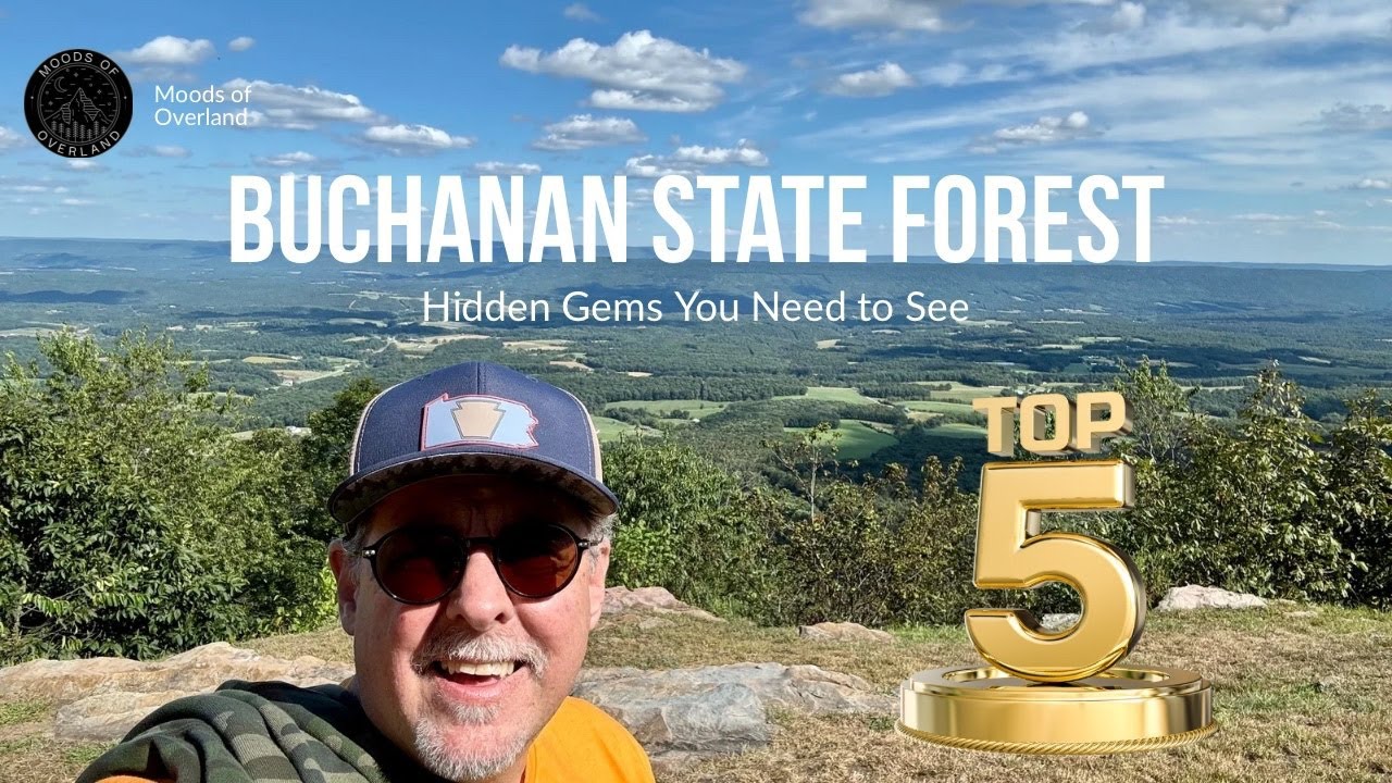 Top 5 Hidden Gems of Buchanan State Forest